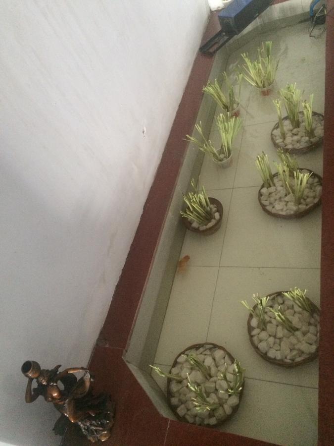 Y Bon Hotel Phan Thiết Buitenkant foto